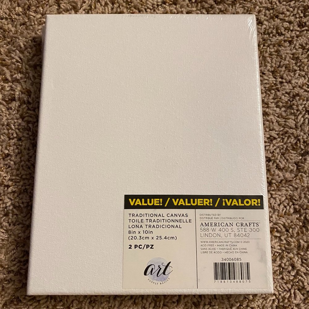 Blank White Canvases